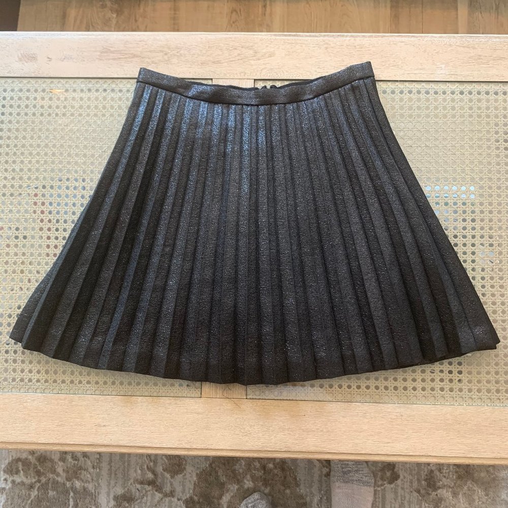 Sparkly pleated skirt